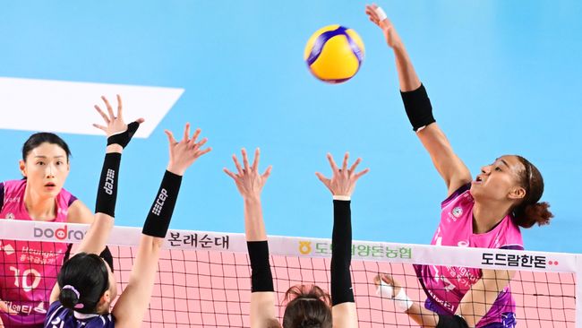 Pertandingan Pink Spiders vs Red Sparks di Liga Voli Korea bakal jadi duel pemain kuota Asia dari kedua tim, Reina Tokoku vs Megawati Hangestri Pertiwi.